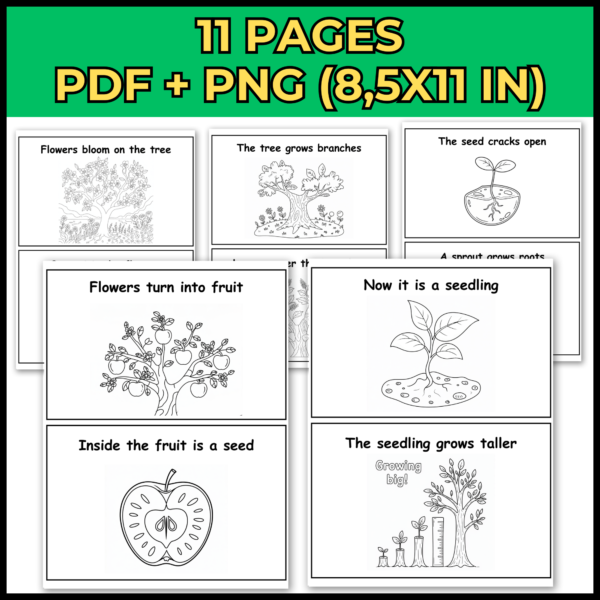 Arbor Day Mini Book for Emergent Readers | Life Cycle of a Tree - Image 2